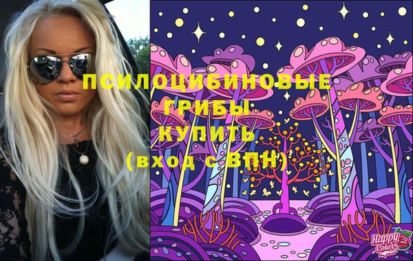 стафф Волоколамск