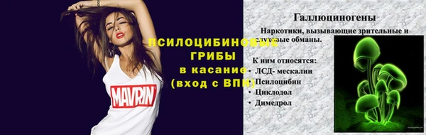 mdpv Володарск