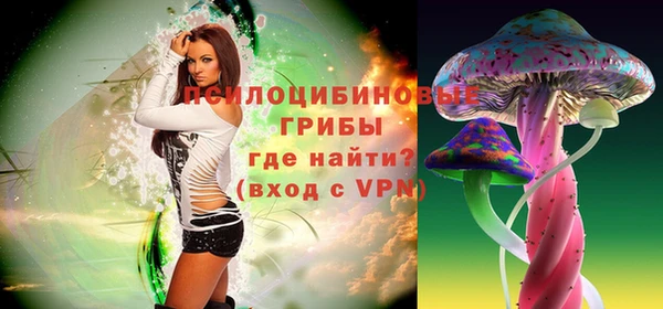 mdpv Володарск