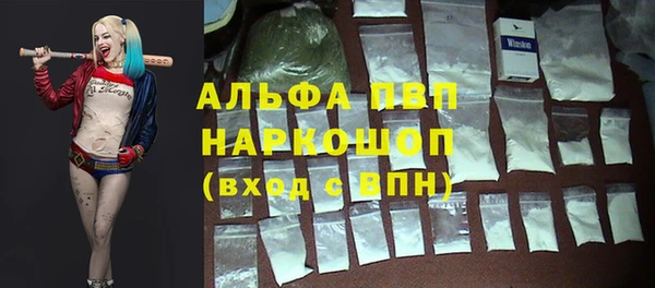 стафф Волоколамск