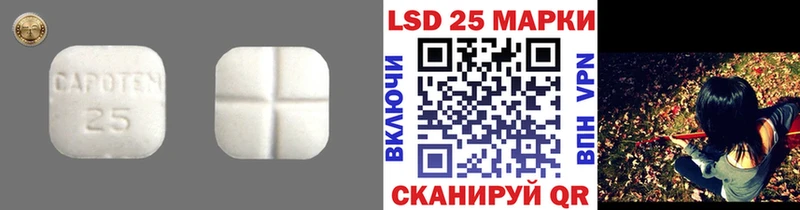 LSD-25 экстази кислота  кракен как зайти  Кадников 