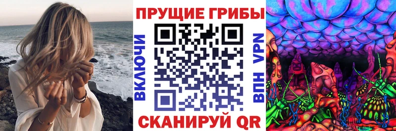 Галлюциногенные грибы Magic Shrooms Кадников