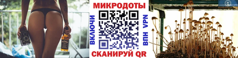 Псилоцибиновые грибы ЛСД  где можно купить   Кадников 